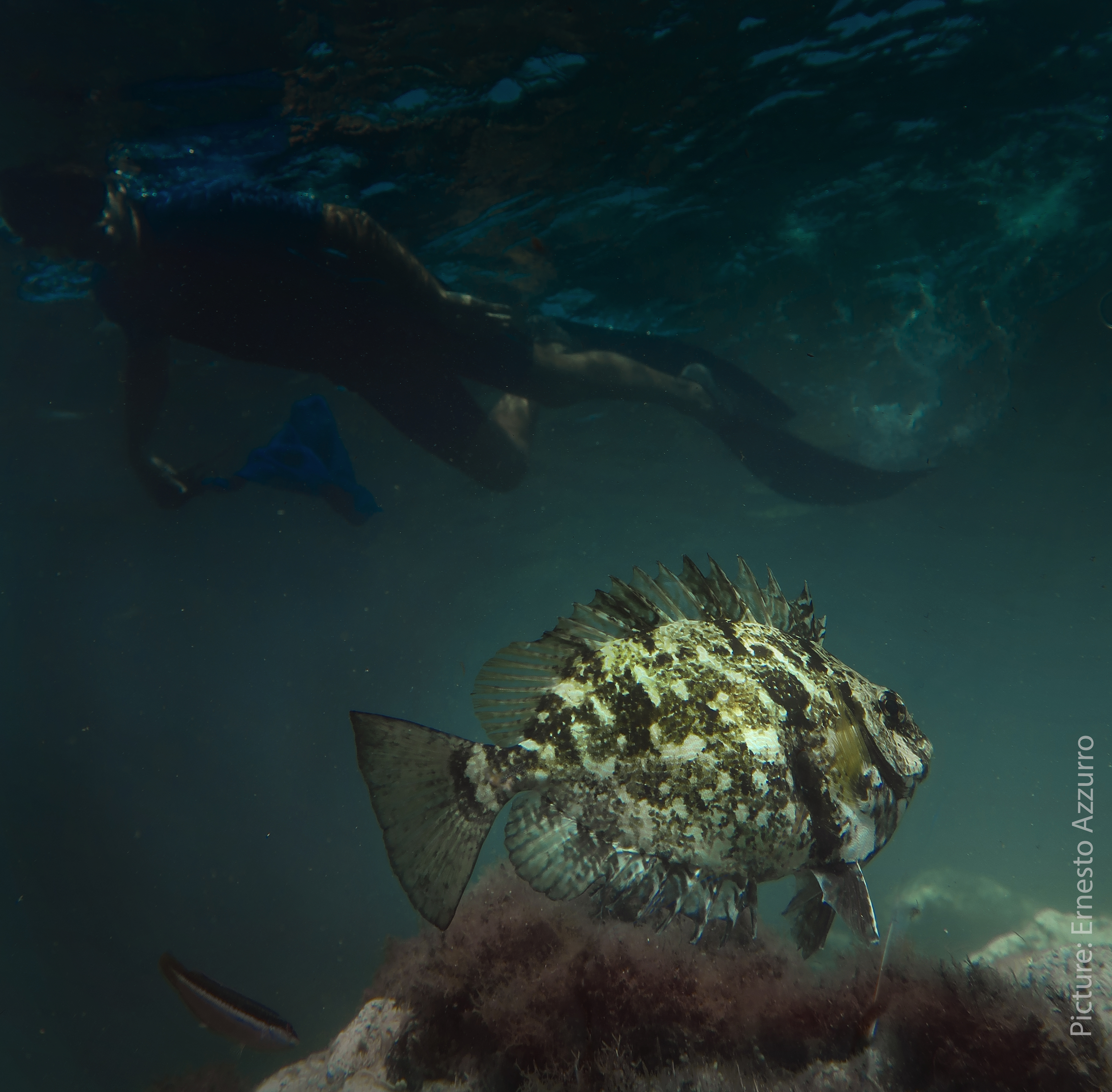 Image Sea 3