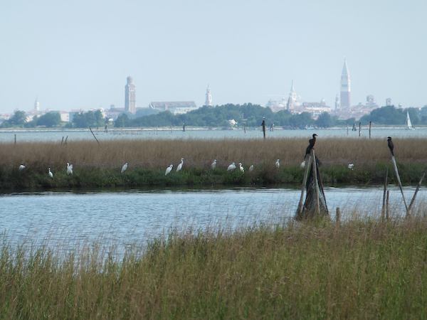 WInter School on Biodiversity