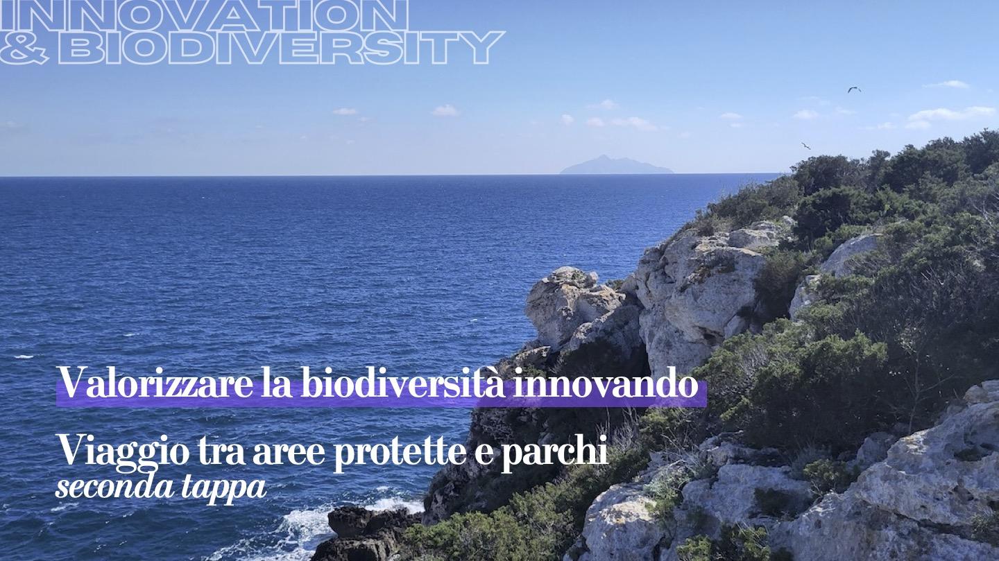 Immagine News