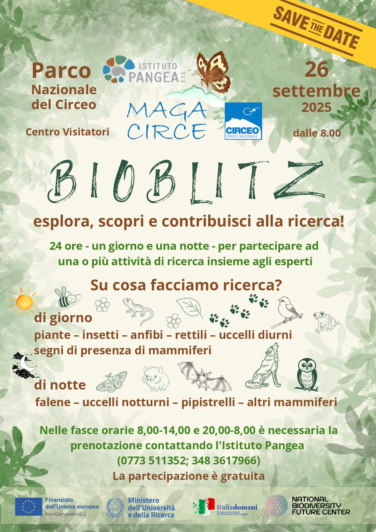 Immagine News