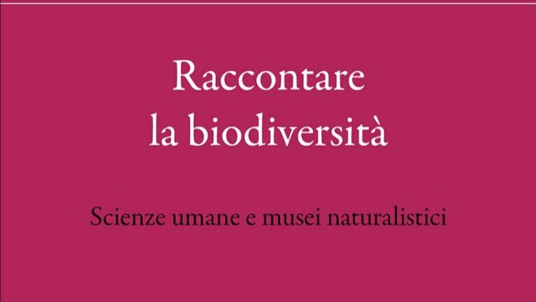 Immagine News